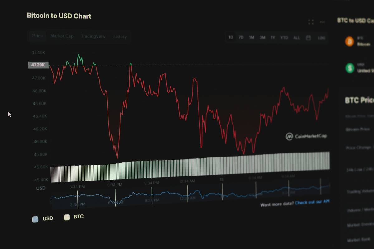 nft market valuation chart comparing Gini coefficient and trading volume across top collections
